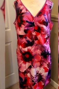 Size 22w Dress